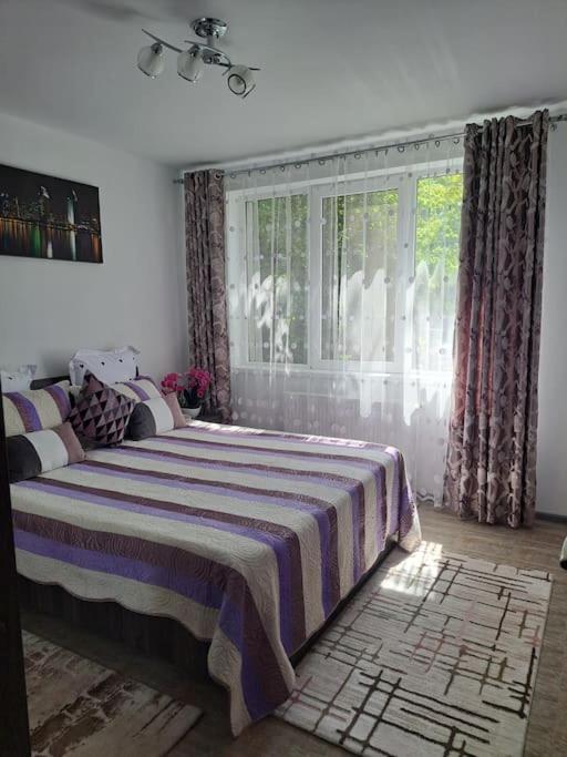 Casuta Cu Povesti Appartement Câmpina Buitenkant foto